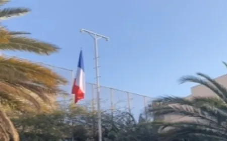 رفع العلم الفرنسي فوق السفارة في دمشق.. ووفد ألماني يجري محادثات