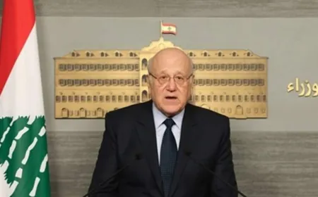 ميقاتي وصل إلى تركيا في “زيارة دولة”