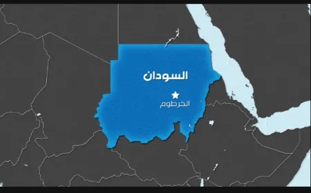 قتلى وجرحى في قصف لقوات الدعم السريع على مدينة الفاشر