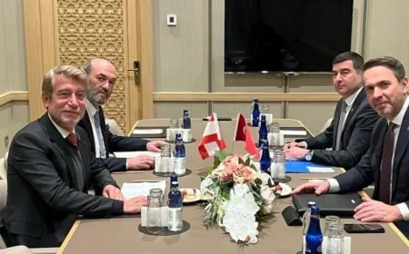 وزير الطاقة عرض مع نظيره التركي اضرار العدوان على شبكة الكهرباء وملفي التنقيب عن النفط والغاز وسد بسري