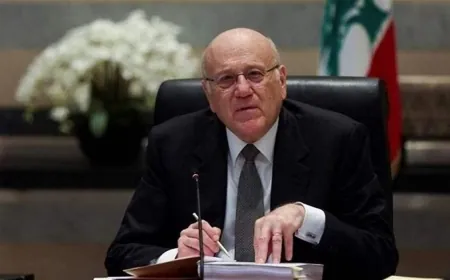 ميقاتي في القاهرة للمشاركة في أعمال قمة منظمة الدول الثماني النامية للتعاون الإقتصادي