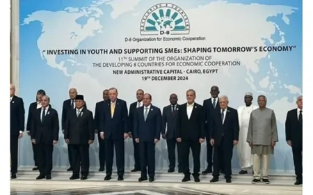 ميقاتي خلال مشاركته في قمة الدول النامية للتعاون الاقتصادي: علينا العمل بيد واحدة والتركيز على أعمالنا من أجل المنفعة العامة