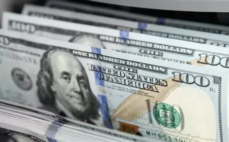 الدولار يستعد لتحقيق مكاسب أسبوعية مع اقترابه من أعلى مستوى في عامين