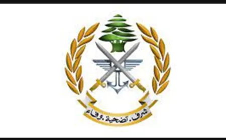 الجيش: تفجير ذخائر من مخلفات العدوان في الغندورية - بنت جبيل