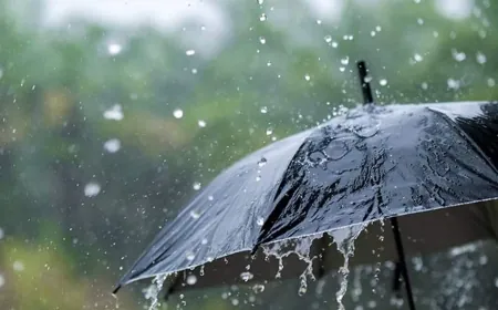 أمطار وبرق ورعد... إليكم تفاصيل الطقس في لبنان