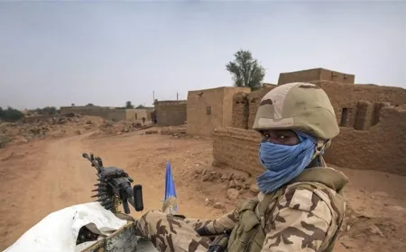 مقتل 20 شخصًا على الأقل في مالي بهجمات منسوبة لجهاديين