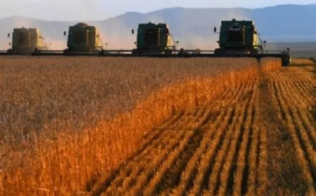 الطقس الشتوي الدافئ.. كيف سيؤثر على محاصيل الحبوب في روسيا