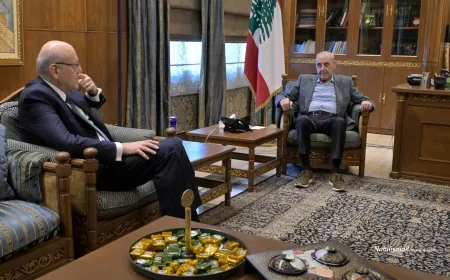 تفاصيل لقاءٌ بري وميقاتي في عين التينة