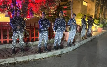 إجراءات حفظ أمن ونظام لقطعات قوى_الامن الداخلي في كافة المناطق اللبنانية  بمناسبة عيد_ الميلاد بالصور: من الجديدة، الدامور، مرجعيون، النبطية وصور