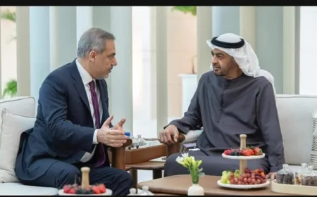 بن زايد وفيدان بحثا المستجدات على الساحتين السورية والإقليمية... وهذا ما تم التأكيد عليه