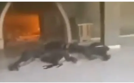 مظاهرات في سوريا... حرق مقام "شيخ العلويين"!