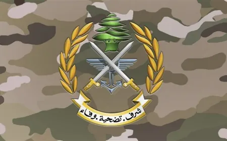 حقول ألغام وذخائر.. قيادة الجيش تحذر