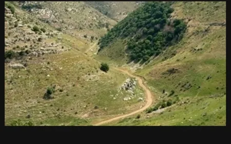 بعد ان فقد اثرهما في وادي الحجير صباح امس... نقل سوريَين إلى مستشفى تبنين الحكومي