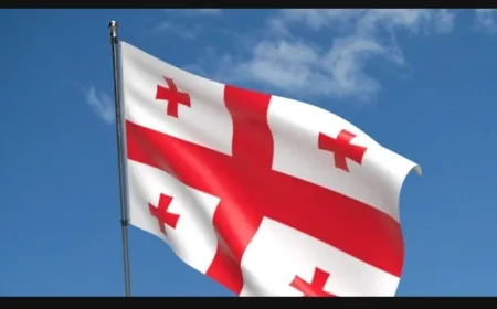 تظاهرة معارضة للحكومة في جورجيا قبل تنصيب الرئيس الجديد