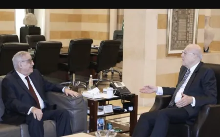 ميقاتي استقبل الوزيرين بو حبيب وكلاس والسفيرة الاميركية نوهت بجهوده