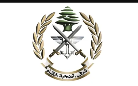 الجيش: تفجير ذخائر غير منفجرة في جرود يحمر