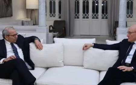 نواف سلام بعد لقائه تمام سلام: سأستمع الى النواب المعنيين بإعطاء الثقة للحكومة