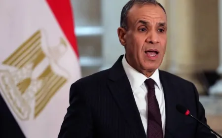 «الخارجية المصرية»: ينبغي أن تعود السلطة الوطنية الفلسطينية للقيام بواجباتها في غزة