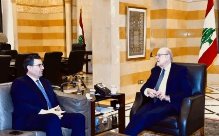 ميقاتي استقبل وزير الزراعة وبحث مع دندن في التحضيرات الجارية لاعادة فتح السفارة الاماراتية
