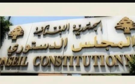 المجلس الدستوري ابطل الفقرة الثانية من المادة الأولى من قانون المهل الدستورية المطعون فيه من نواب"التيار الوطني الحر"