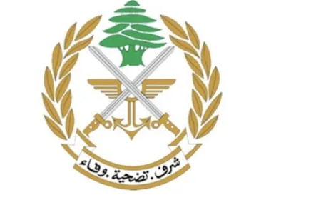 الجيش: تفجير ذخائر غير منفجرة في جرد الطيبة