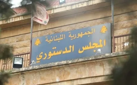المجلس الدستوري يرد الطعن المقدّم من "التيار" في قانون تعليق المهل ويبطل جزءًا منه