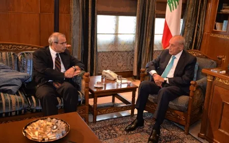 وصول الرئيس المكلف نواف سلام للقاء بري في عين التين