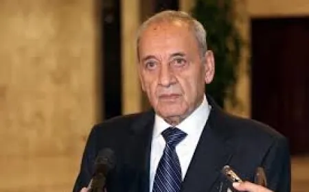 بري : اللقاء مع الرئيس سلام كان واعدا