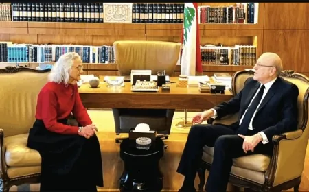 ميقاتي استقبل والدة الصحافي أوستن تايس