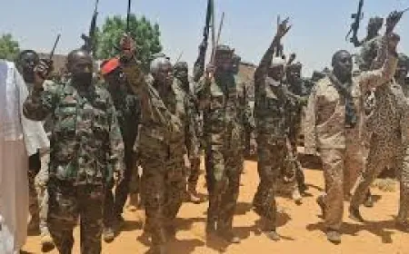 14 قتيلا في هجوم لقوات الدعم السريع قرب الفاشر في دارفور