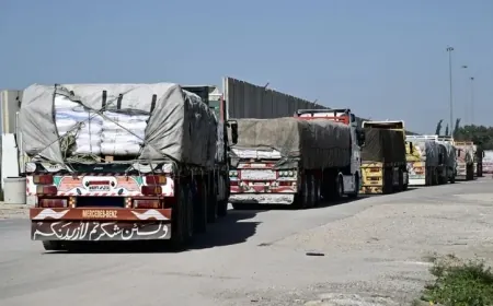 دخول أول قافلة مساعدات إماراتية إلى غزة
