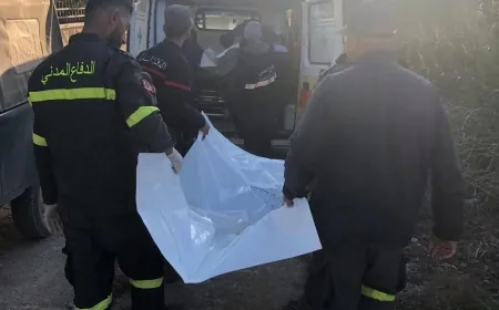 الدفاع المدني :انتشال أشلاء ٥ شهداء من بلدة الخيام