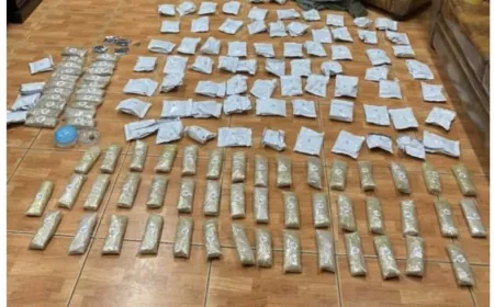 بتهمة تأليفهم شبكة دولية لتهريب المخدرات.. الحجّار يدّعي على 12 شخصًا