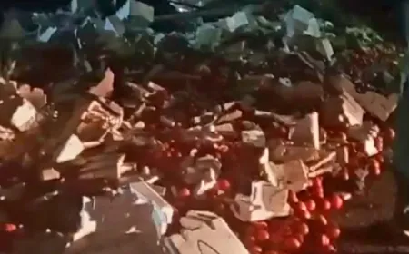 انقلاب شاحنة دخلت من سوريا إلى لبنان... ماذا كان على متنها؟