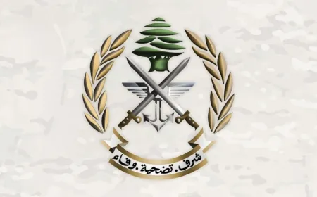 الجيش استكمل انتشاره في منطقة العرقوب