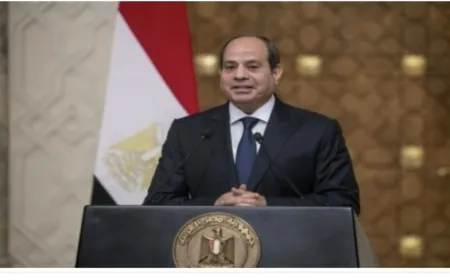 الرئيس المصري: سندفع “بمنتهى القوة” لتنفيذ اتفاق غزة كاملا