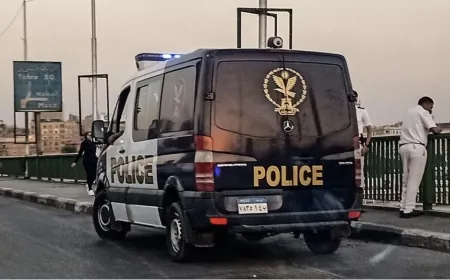 مقتل 10 مسلحين فى مواجهات مع الشرطة جنوبي مصر