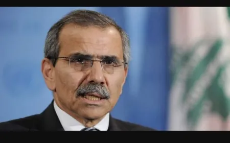 سلام بحث مع غراندي في التطورات وتلقى اتصال تهنئة من وزيرة خارجية كندا متمنيا حشد الجهود لتلبية متطلبات لبنان