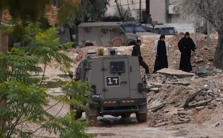 مصر تدين عملية جنين: تداعياتها وخيمة