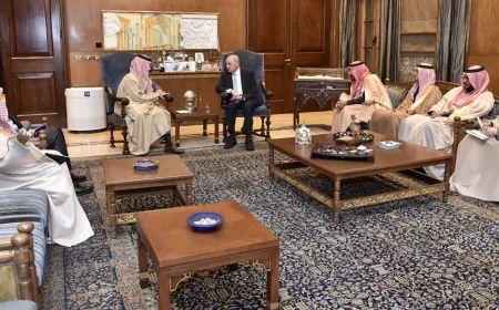 بري عرض الأوضاع والمستجدات السياسية في لبنان والمنطقة مع وزير الخارجية السعودي