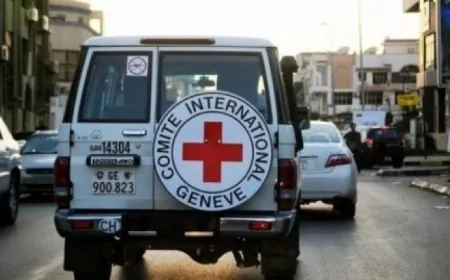 70 أسيرًا من الـ200 أسير المحكوم "مؤبدأت" سيُنقلون مباشرة إلى مِصر