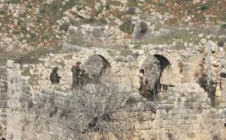 وفد من قيادة اللواء الشرقي في جيش الإسرائيلي يعتدي بحضوره على القلعة التراثية في "دوبيه" بين بلدتي شقرا و ميس الجبل