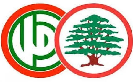 حركة أمل ترد على "القوات": الشمس طالعة والناس قاشعة