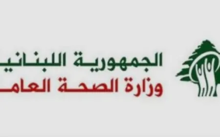 حصيلة غير نهائية لاعتداءات الجنوب: 11 شهيدا و83 جريحا