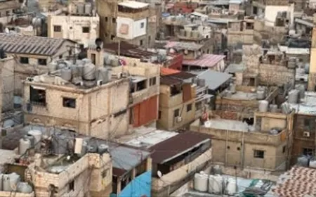 رئيس لجنة "الحوار اللبناني– الفلسطيني": بعد سنة من الآن سنعلن المخيمات خالية من السلاح