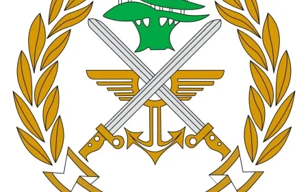 بعد مسيرات أمس... الجيش يُعلن توقيف عدد من الأشخاص