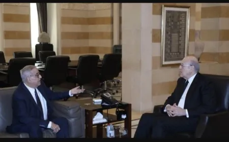 ميقاتي عرض التطورات مع بلاسخارت والتقى بوحبيب وحمية وتلقى دعوة من عبدالساتر لحضور قداس عيد مار مارون