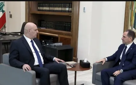 الجميل من قصر بعبدا: للالتفاف حول رئيس الجمهورية هو رمز سلطة الدولة وهيبتها واستعادة قرارها الحر