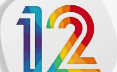 القناة 12 الإسرائيلية: خطة ترمب لنقل الفلسطينيين من غزة تشمل إندونيسيا وألبانيا