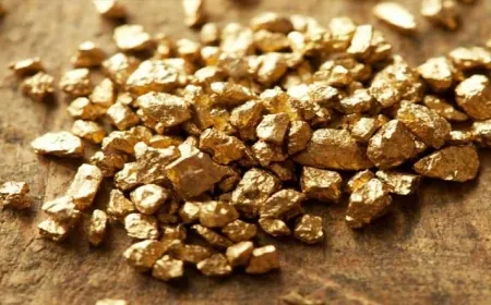 رصيد الذهب في الإمارات يرتفع إلى 24.5 مليار درهم